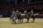 Quadrille - 00671